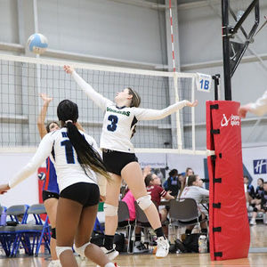 Meet your Posher, Annabelle